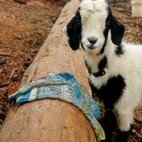 Crew Socks - Goat