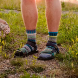 Crew Socks (Wool) - Spruce