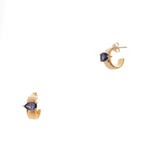 Trevana Hoop Studs - 2 Colours